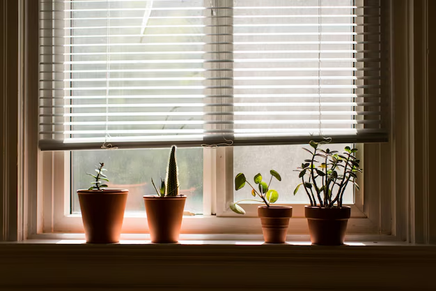 Day & Night Blinds Gallery